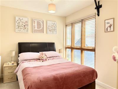 Picture 13